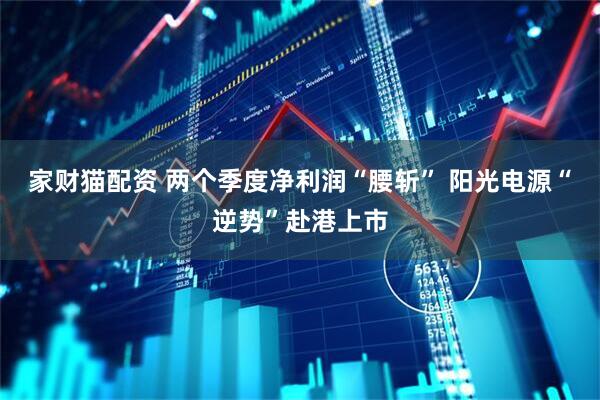 家财猫配资 两个季度净利润“腰斩” 阳光电源“逆势”赴港上市